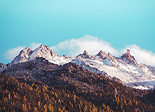 东涌学子闪耀“省超”联赛，解码鱼窝头中学“足球育人”之道